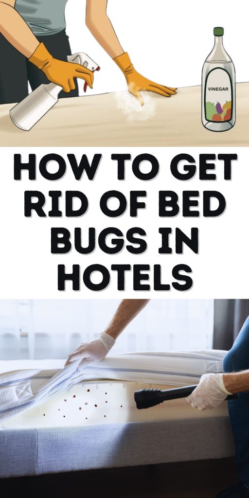 Get Rid of Bed Bugs in Hotels