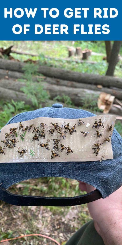 Get Rid of Deer Flies