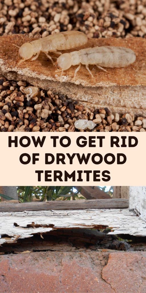 Get Rid of Drywood Termites