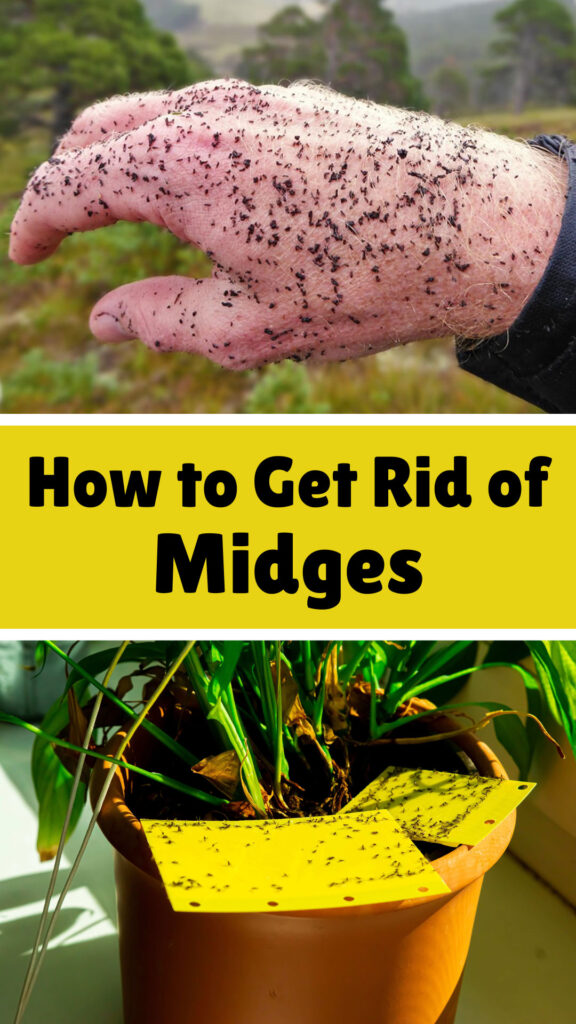 Get Rid of Midges