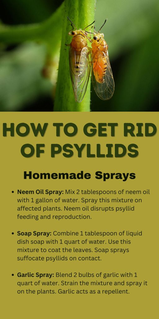 Get Rid of Psyllids